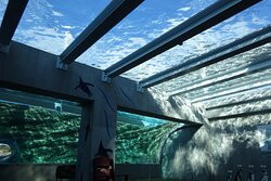 Kujukushima Zoological and Botanical Garden Morikirara-佐世保市必去景点