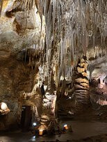 Tantanoola Caves Conservation Park景点图片