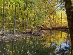 Brukner Nature Center-Troy必去景点