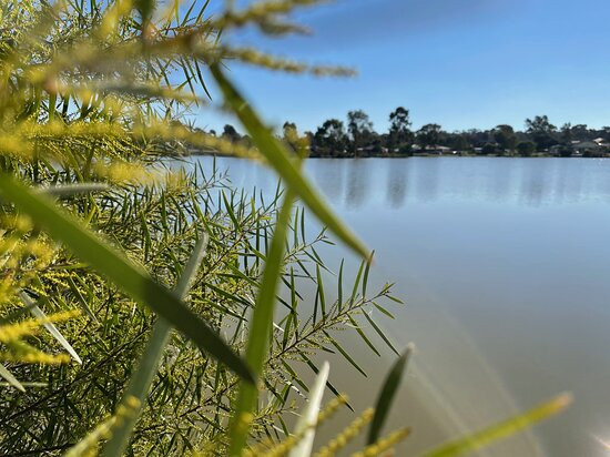 Lake Tom Thumb景点图片