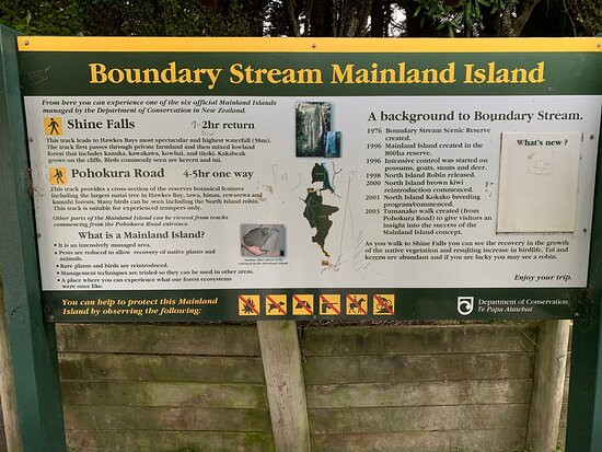 Shine Falls-纳皮尔必去景点