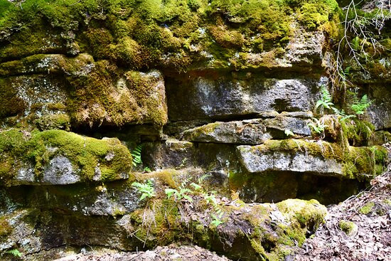 Nottawasaga Bluffs Conservation Area景点图片