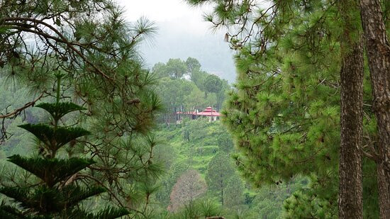 Forest Ville Hotel & Resort主图