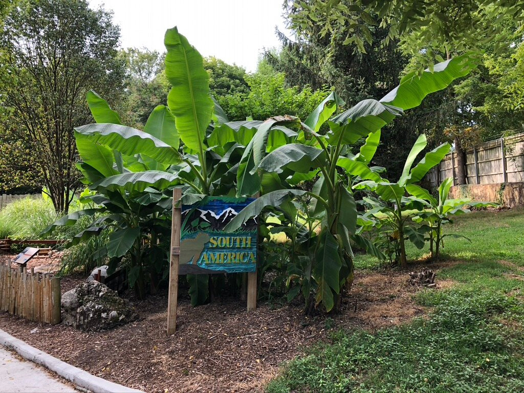 Dickerson Park Zoo-斯普林菲尔德必去景点