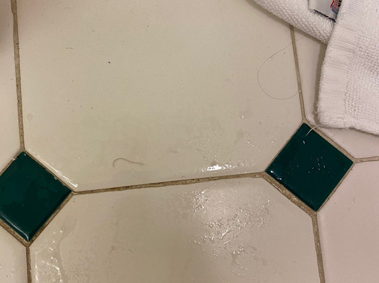 La Quinta Inn & Suites By Wyndham Greensboro NC主图