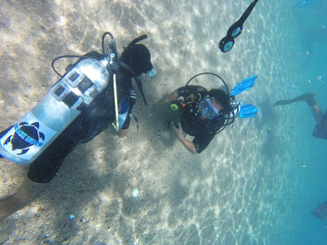 Black Rock Dive Centre-达哈卜必去景点