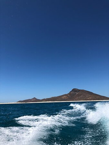 Lobitos Seafari-拉巴斯必去景点