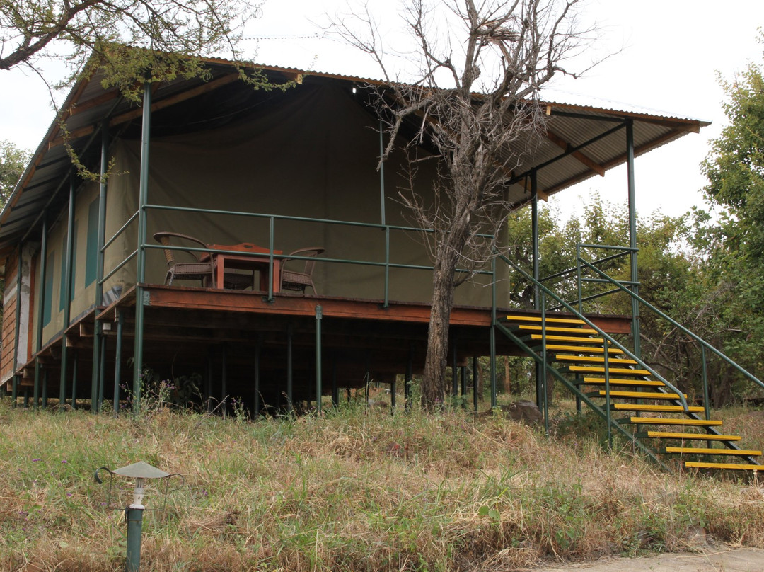 Ngorongoro Lodge & Campsite主图