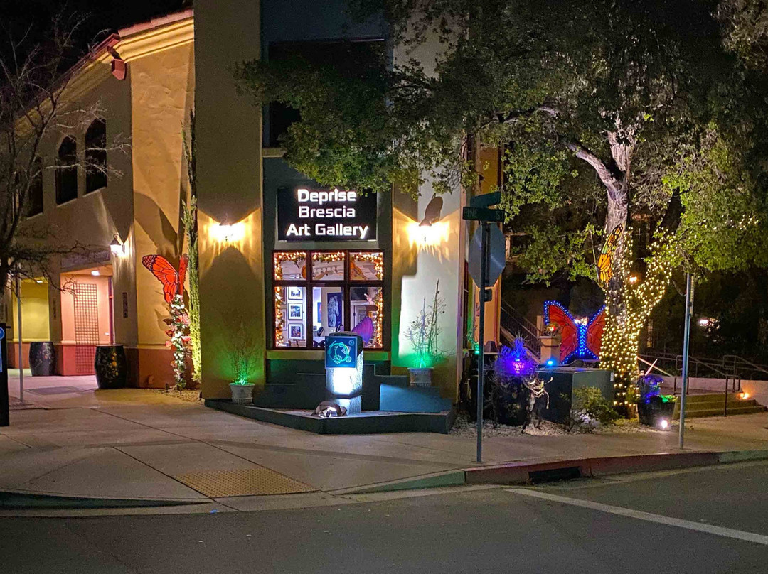 Deprise Brescia Art Gallery-帕索罗布尔斯必去景点