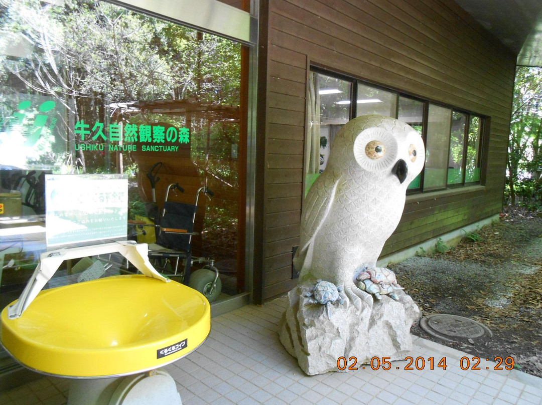 牛久市旅游景点-Ushiku Nature Sanctuary