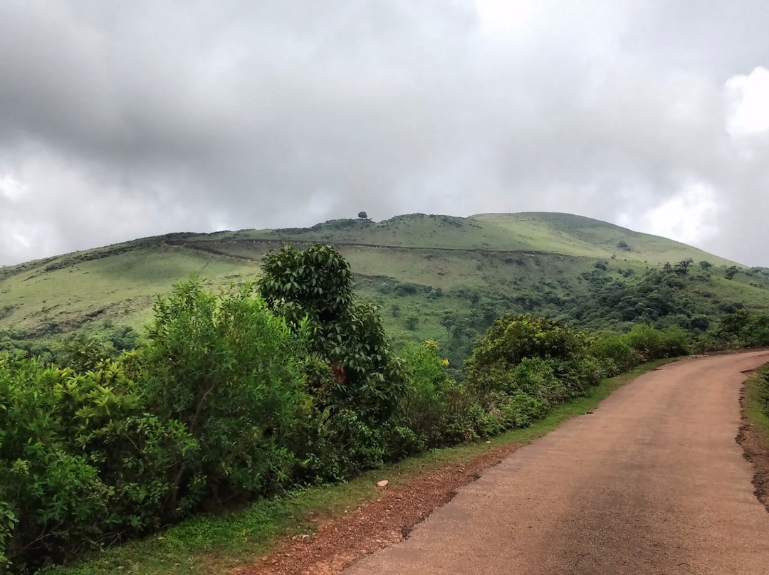 Mullayanagiri景点图片