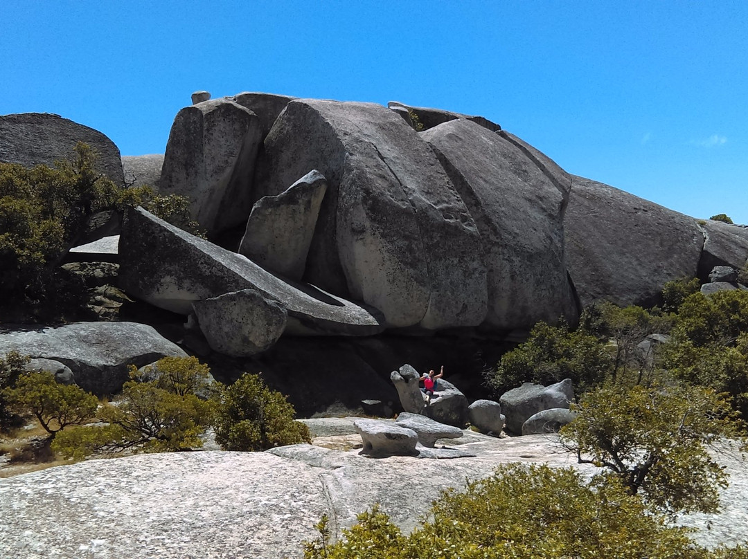 Bald Rock Dome Trail-Berry Creek必去景点