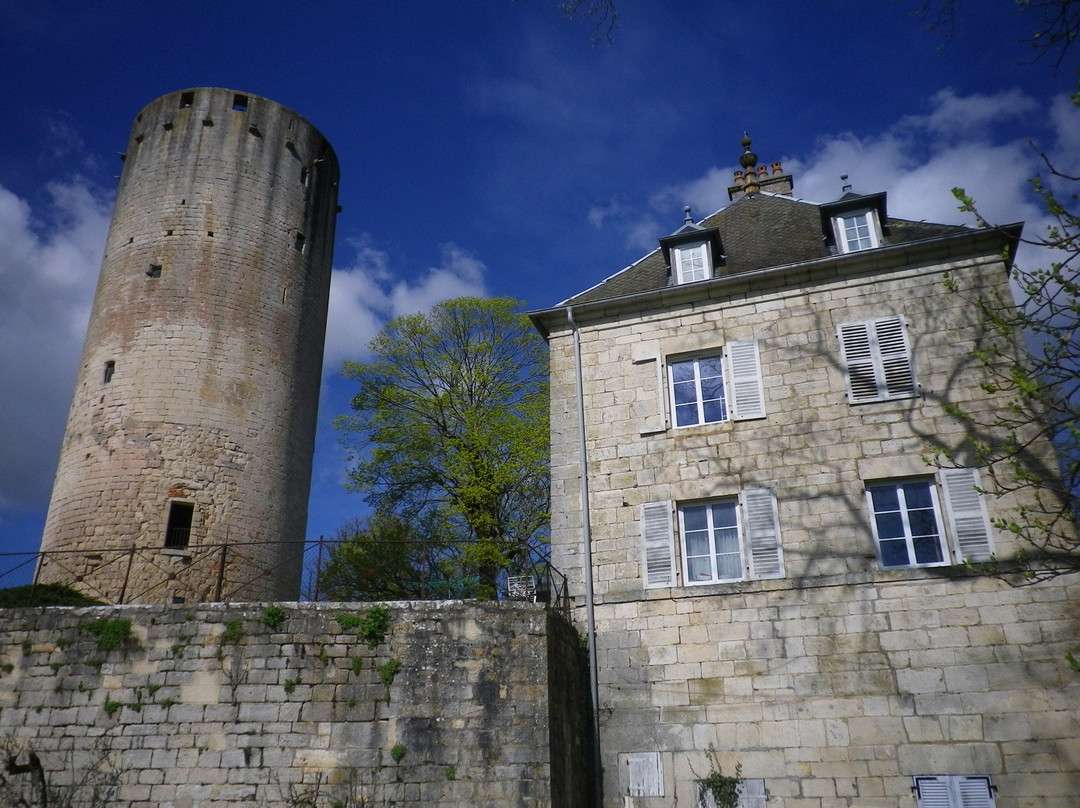 Chateau de Rupt-sur-Saone景点图片