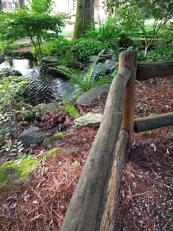 The Wells Cashiers主图