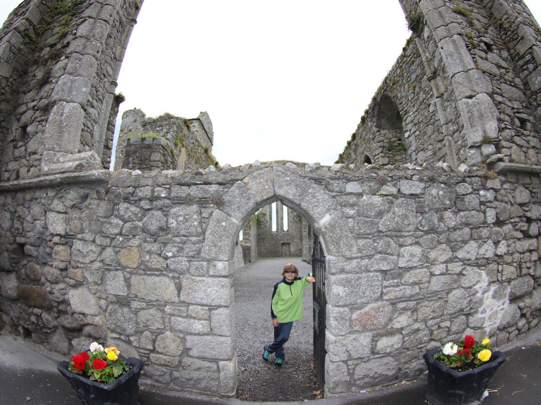 Castledermot Friary景点图片