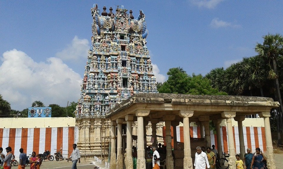Thiruvavaduthurai旅游攻略图片