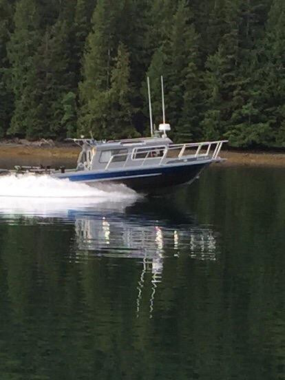 Avid Sportfishing-Sandspit必去景点