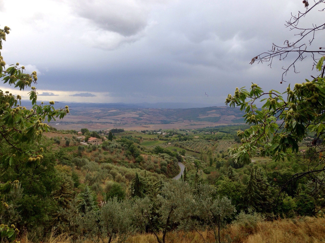 La Croce餐馆和美食-Hotel al Brunello di Montalcino