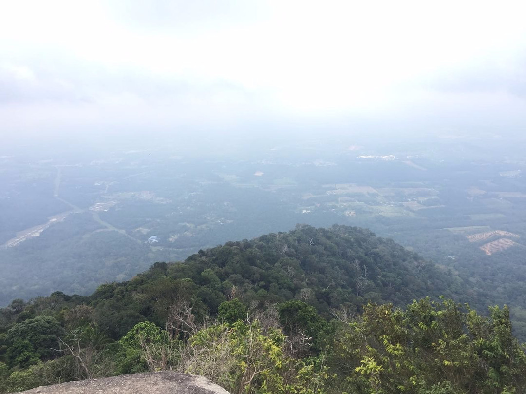 Gunung Datuk Recreational Forest景点图片