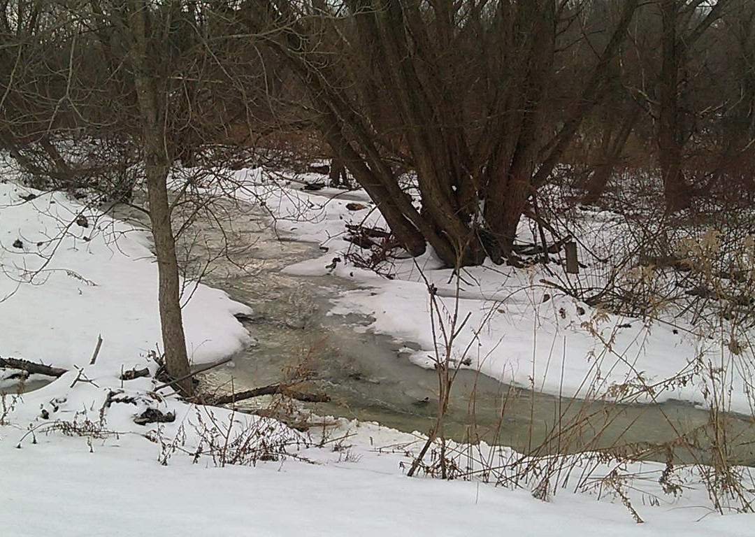 Vestal Rail Trail-Vestal必去景点