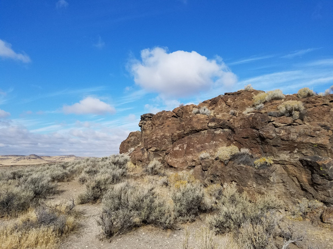Malheur National Wildlife Refuge-Princeton必去景点