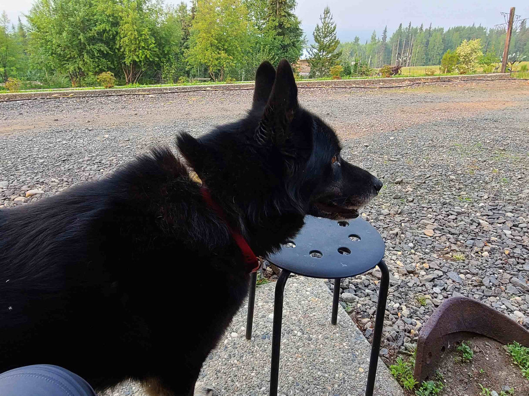 阿拉斯加风情木屋酒店主图