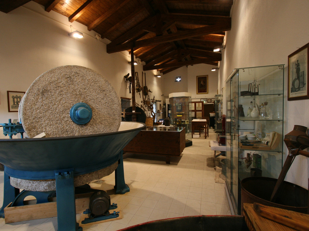 Museo dell'Olio景点图片