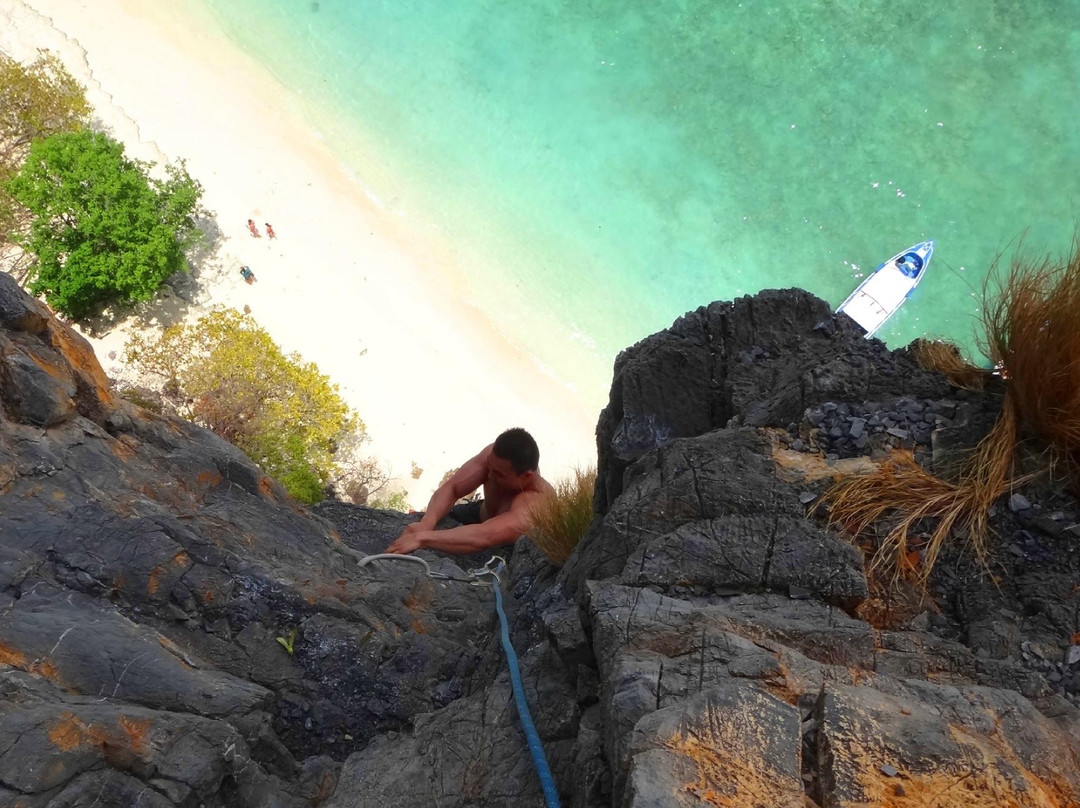 Spidermonkey Climbing
