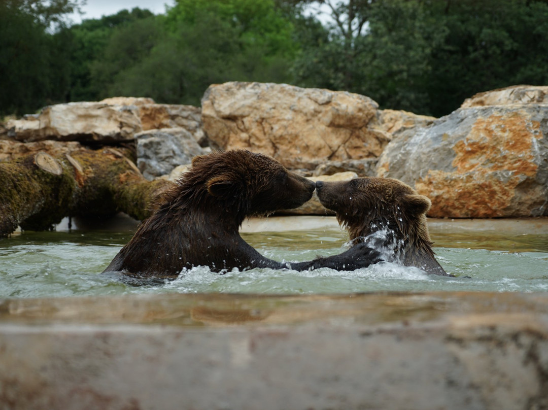 Parc Animalier de Gramat-Gramat必去景点