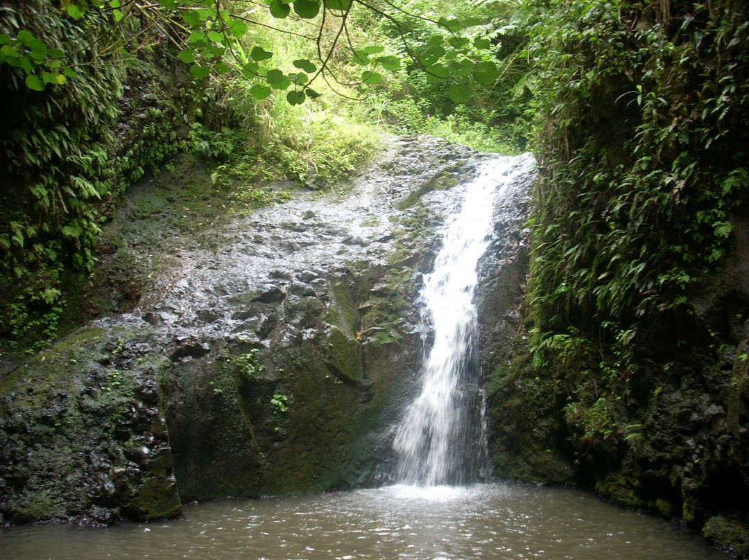 Maunawili Falls景点图片