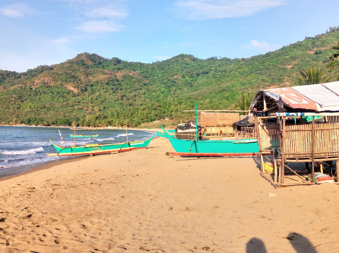 Patungan Beach Cove景点图片