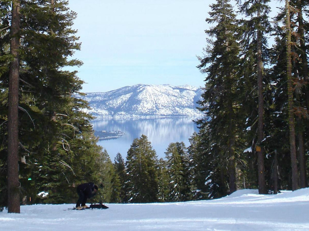 Black Tie Ski Rentals of North Lake Tahoe景点图片
