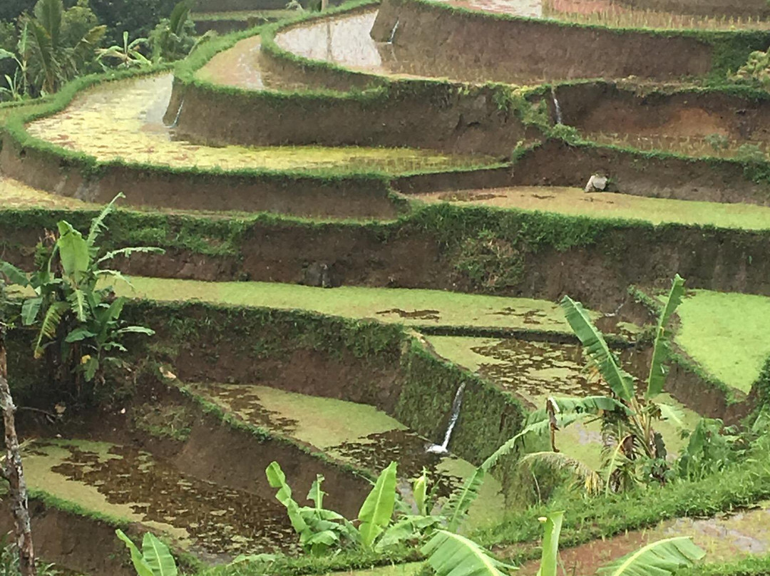 Bali Bike Tour景点图片