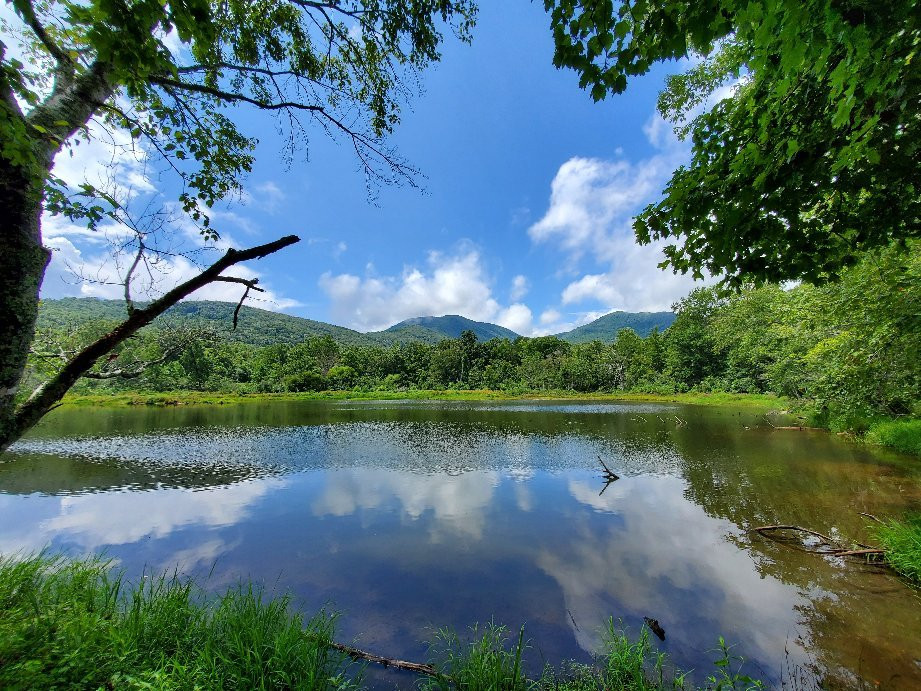 Blue Wall Nature Preserve景点图片