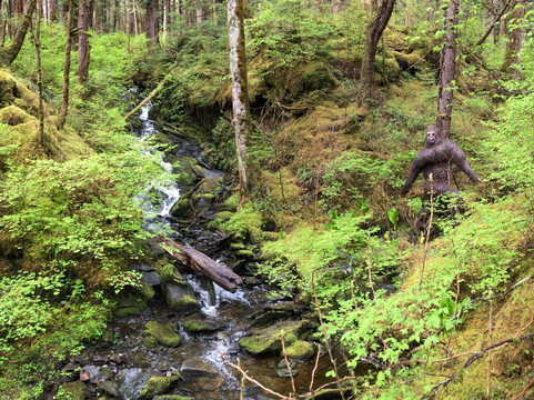 Alaska Bigfoot Adventures-凯奇坎必去景点