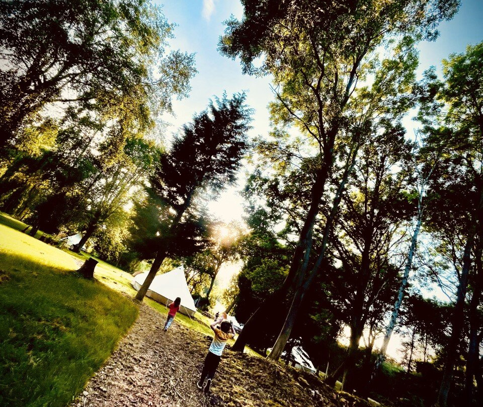 Briarwood Glamping