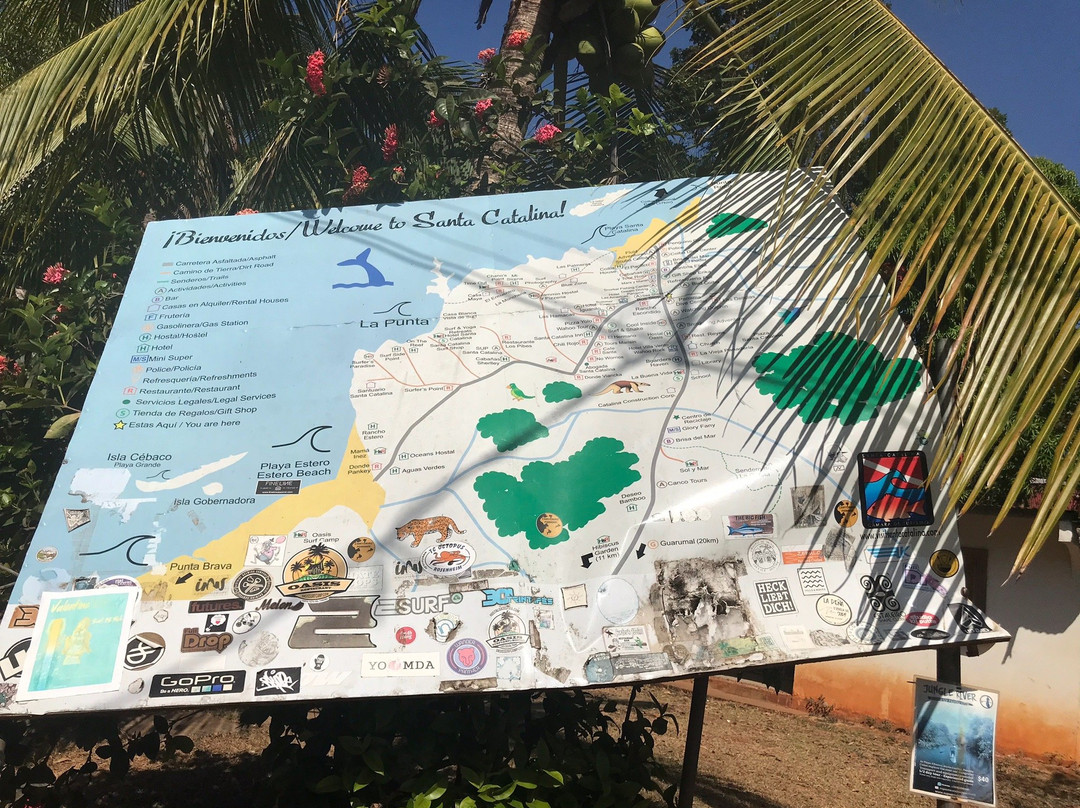 Coiba Dive Center景点图片