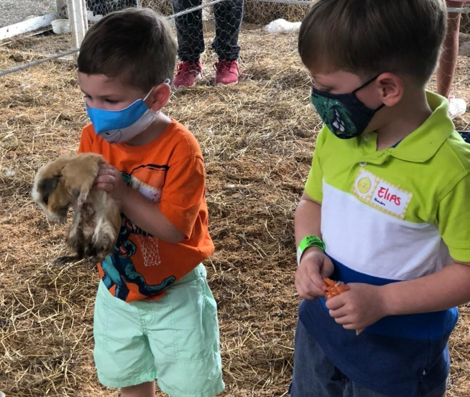 La Granja Del Abuelo Elías-Malagana必去景点