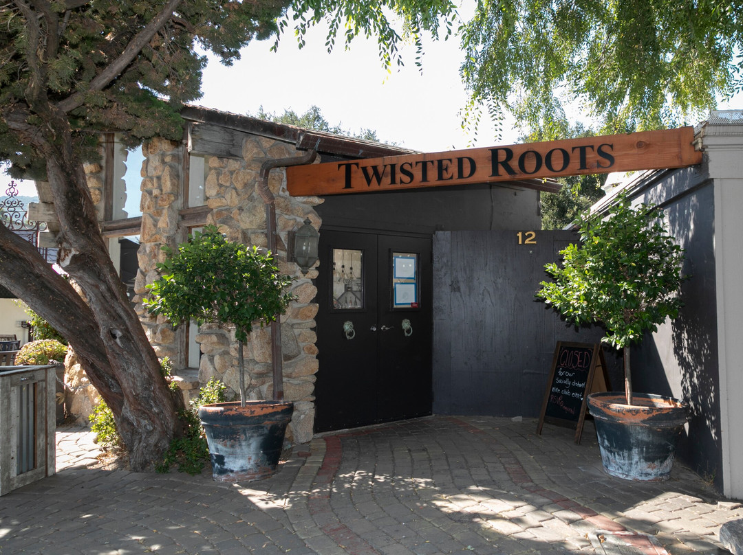 Twisted Roots Vineyard-卡梅尔瓦利必去景点