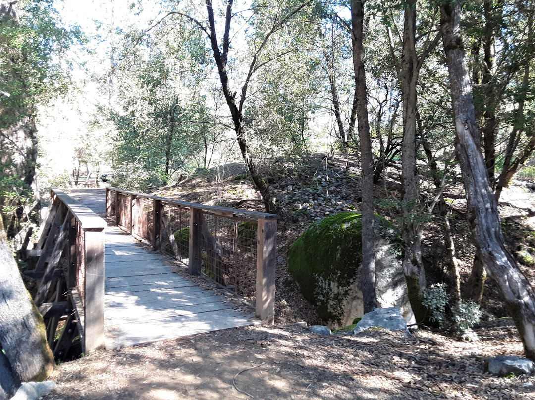 Hirschman's Pond Trail-Nevada City必去景点