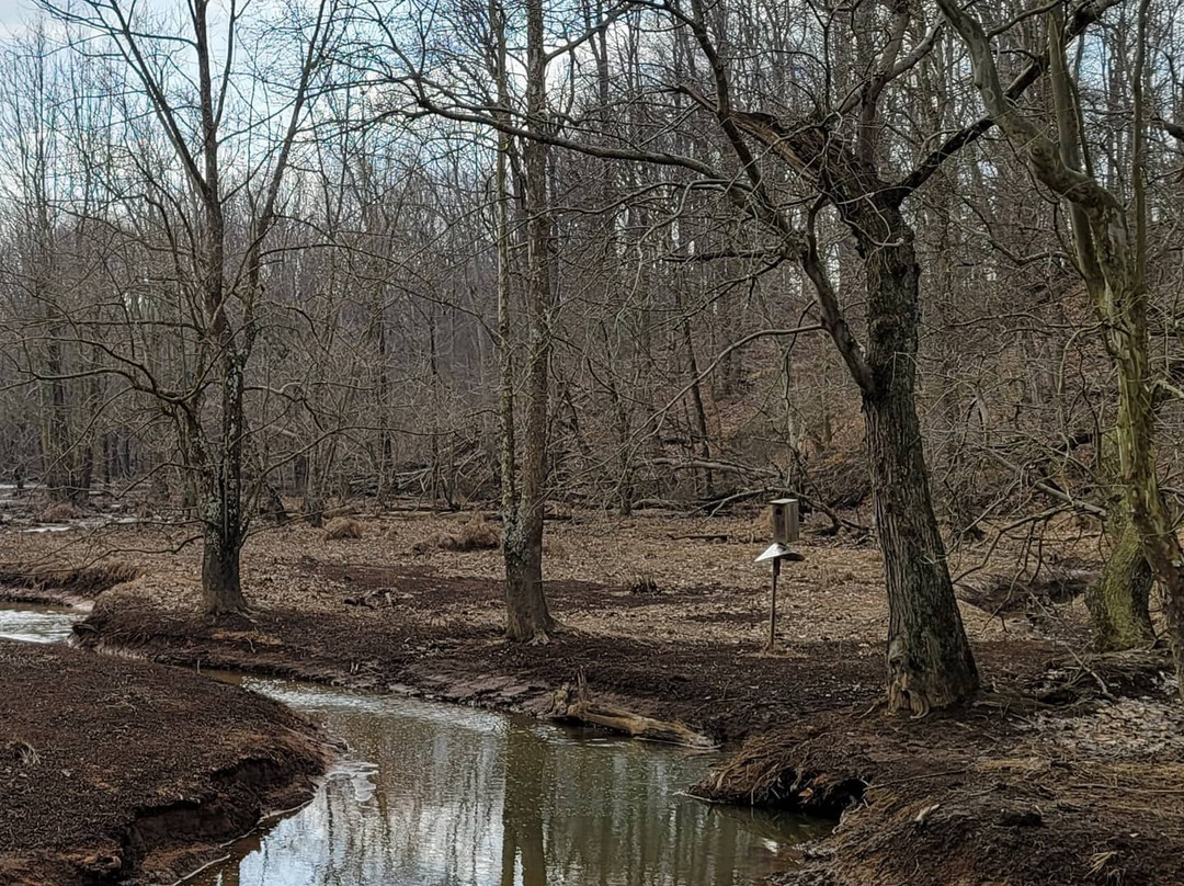 Old Bohemia Wildlife Management Area-Warwick必去景点