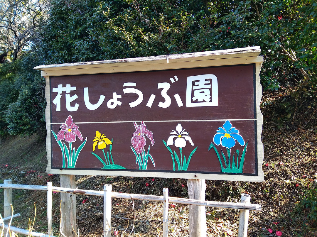 Kameyama Park景点图片
