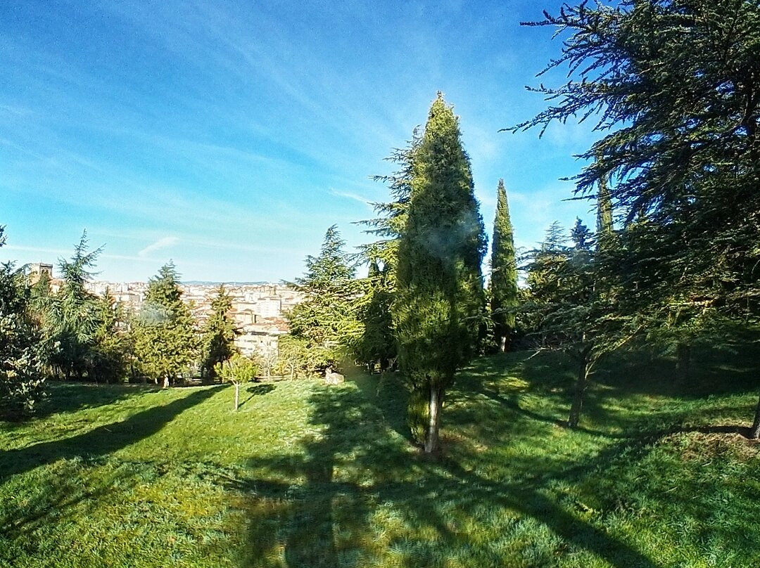 Parque del Castillo景点图片