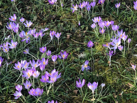 Evenley Wood Garden-Evenley必去景点