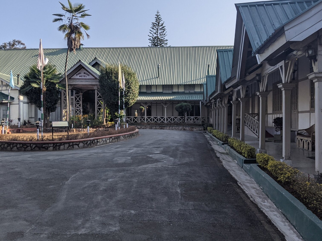Pinewood Hotel主图