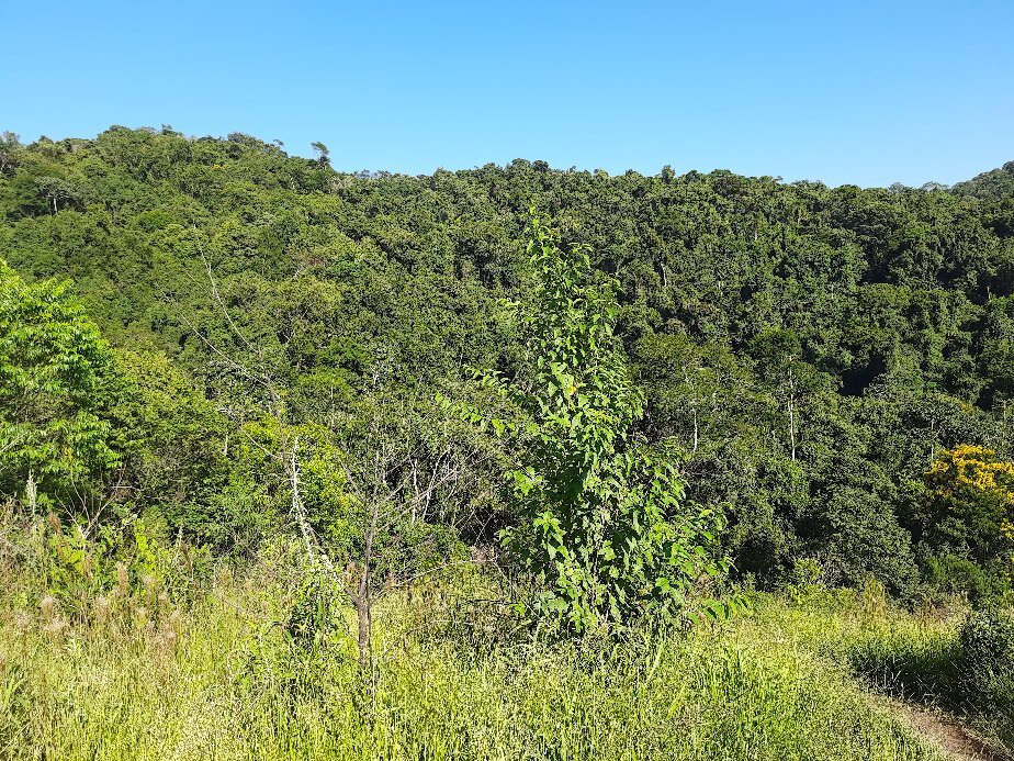 Cachoeira da Graça-Cotia必去景点