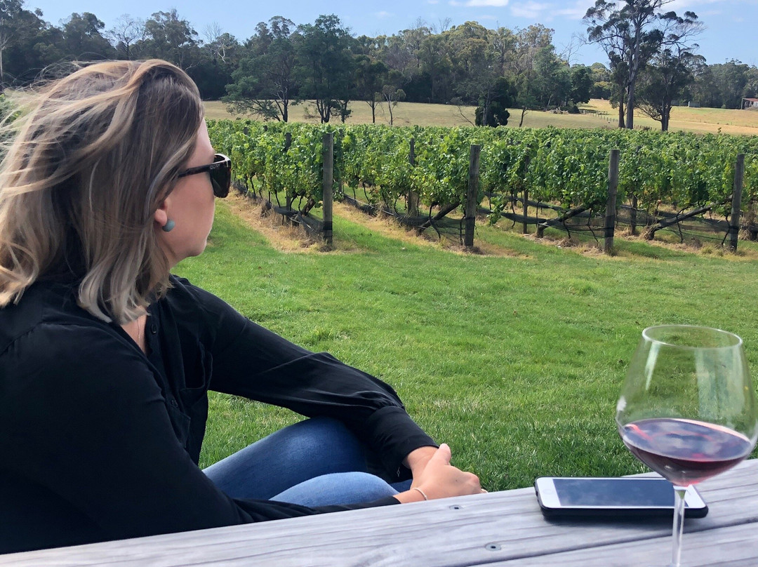 Beauty Point旅游景点-Cabbage Tree Hill Wines