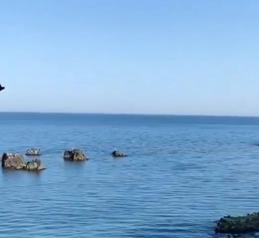 Uniport AVM景点图片