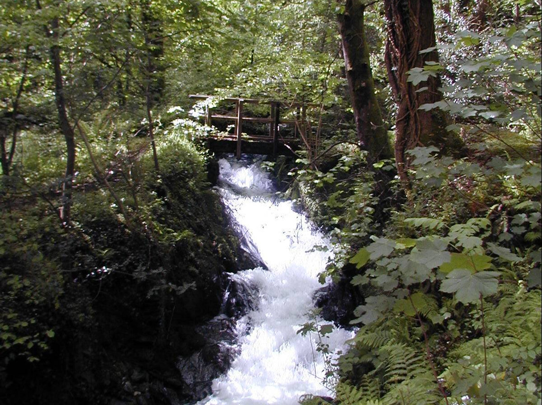 Drefach Velindre Walk景点图片