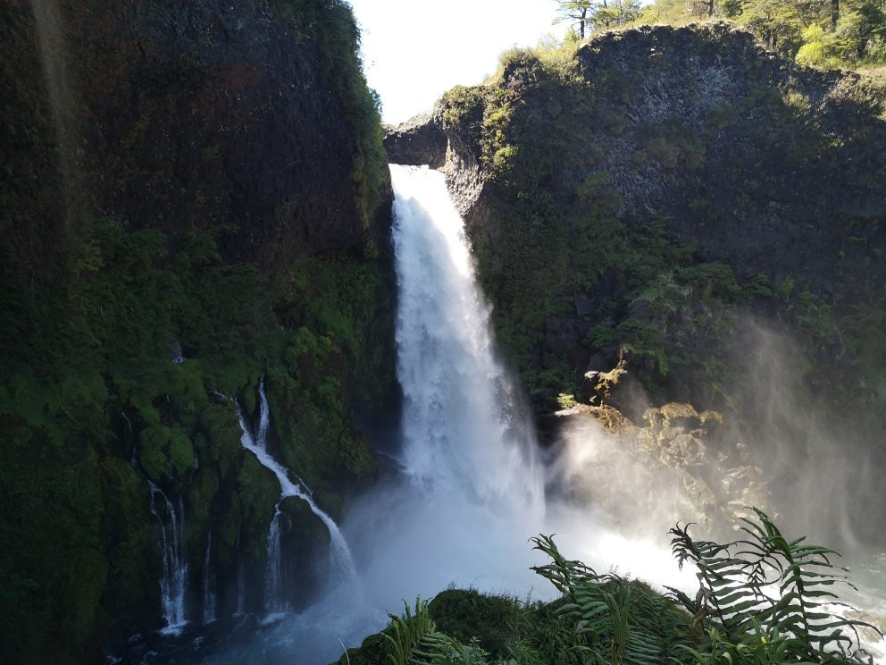 Parque Neltume - Salto Huilo Huilo景点图片